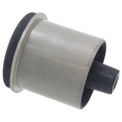 Rear crossmember bushing