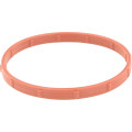 Throttle Body O-Ring