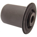 bushing, rear lower control arm