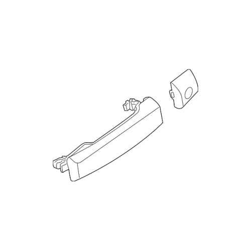 Handle Assy-Front Do