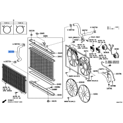 Hose, Radiator, No.2