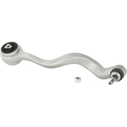 Left lower front arm