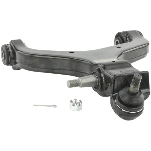 Left lower front arm