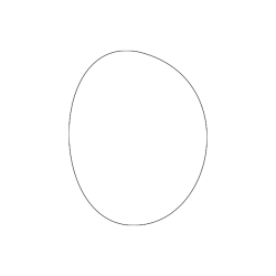 O.Ring