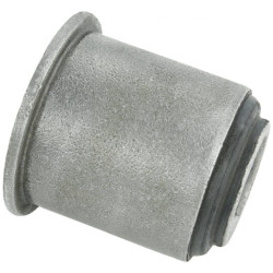 Rear transverse rod bushing