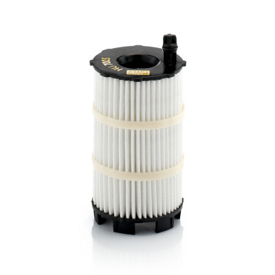 Oil Filter Vw Touareg,Q7,A5,A6,R8/06>11/4.2Fsi