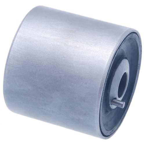 Bushing, front lower control arm