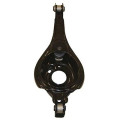 Rear lower arm