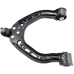 Right upper front arm