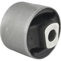 differential mount bushing
