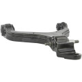 left lower front arm