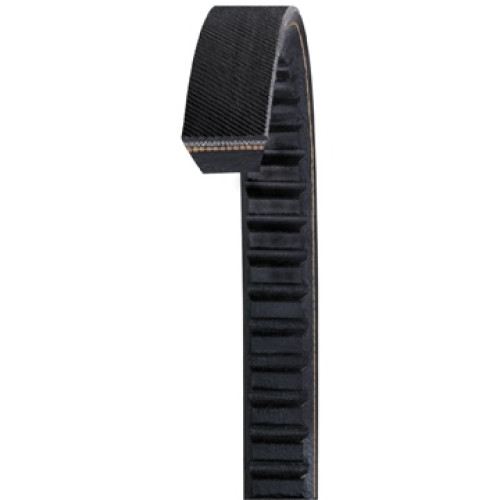 Dayco BX64 Belt