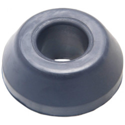 Trailing arm front bushing