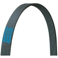 DAYCO 6PK1025 V-Ribbed Belt