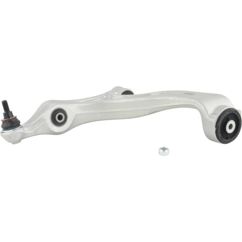 Right lower front arm