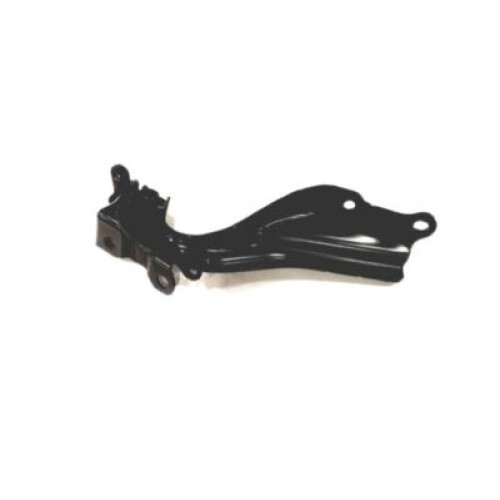Hinge(L),Bonnet