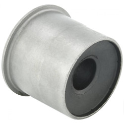 Bushing, front lower control arm