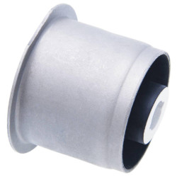 Rear differential bushing