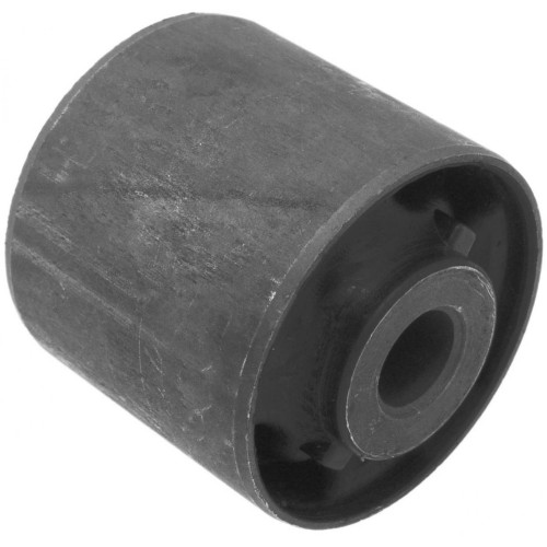 Rear differential bushing