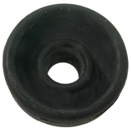 Front radius rod bushing