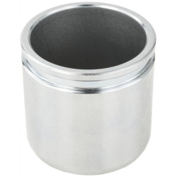 rear caliper piston d48.1