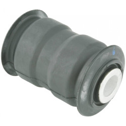 Rear leaf spring bushing