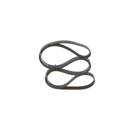 V Ribbet Belt