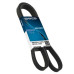 DAYCO 6PK1195 Genuine Poly-V Belt