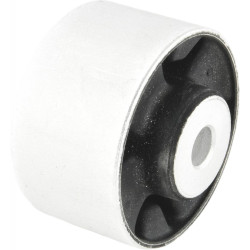 Rear differential bushing