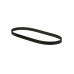 Nissan Serpentine Belt 11720-VC200