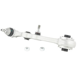 Right lower front arm