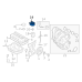 Coller Egr-Usa