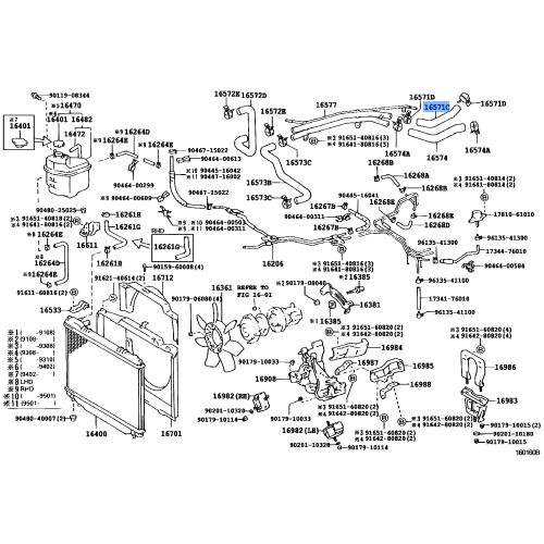 RADIATOR HOSE