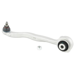 Left lower front arm