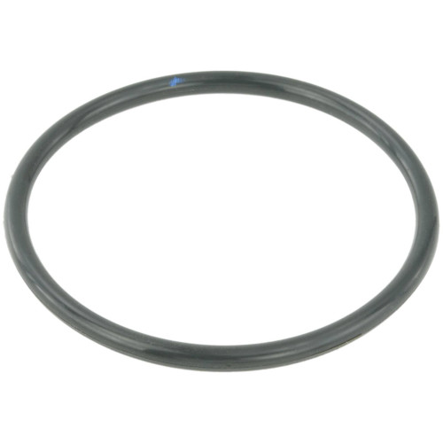 Throttle body o-ring