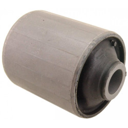 Bushing, rear trailing arm