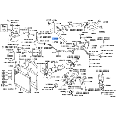 Radiator Hose