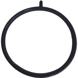 Engine Mount - Front