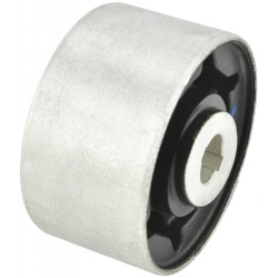 Rear differential bushing