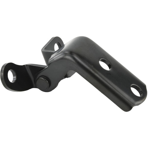 Rear left door lower hinge