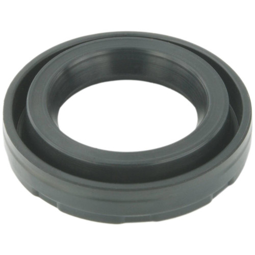 Seal ring, spark plug tube