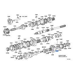 Spring Coil-Rear