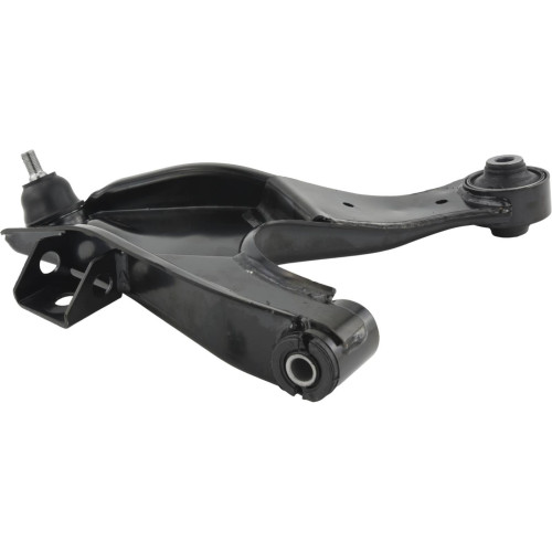 left lower front arm