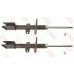 Shock Absorber Frt Renault