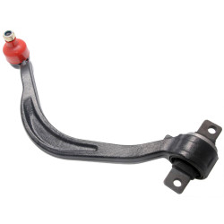 Right lower front arm