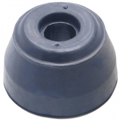 Front radius rod bushing