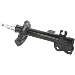 shock absorber rear right gas.twin tube