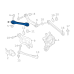 Link(L),Lateral