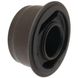 Rear differential bushing