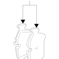 Brake Pad Set, Front